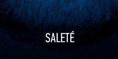 tete-salete-01-700x350